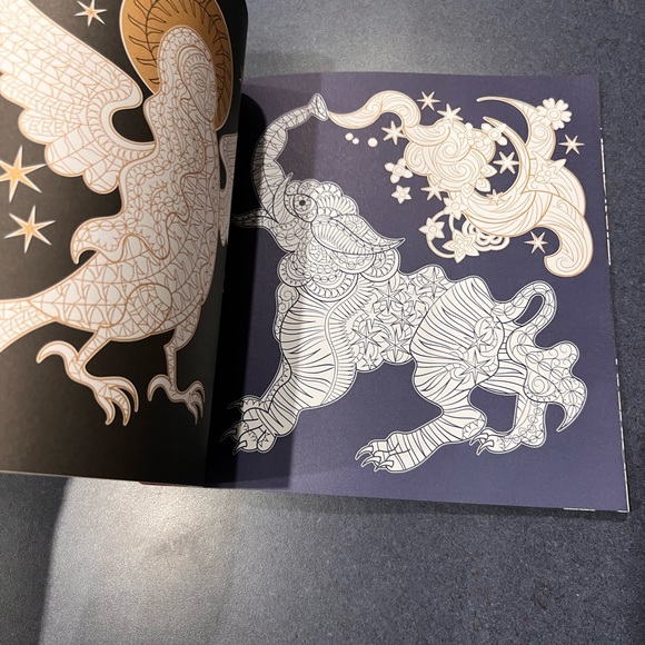 FABULOUS BEASTS:  Night and Day Adult Coloring Book  NEW - Picture 6 of 14